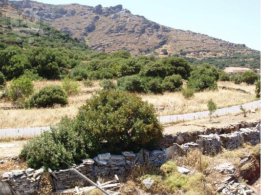 ΑΝΔΡΟΣ, ΠΩΛΕΙΤΑΙ ΟΙΚΟΠΕΔΟ 2.000 τ.μ., ΑΔΕΙΑ ΟΙΚΟΔΟΜΗΣ 2004...